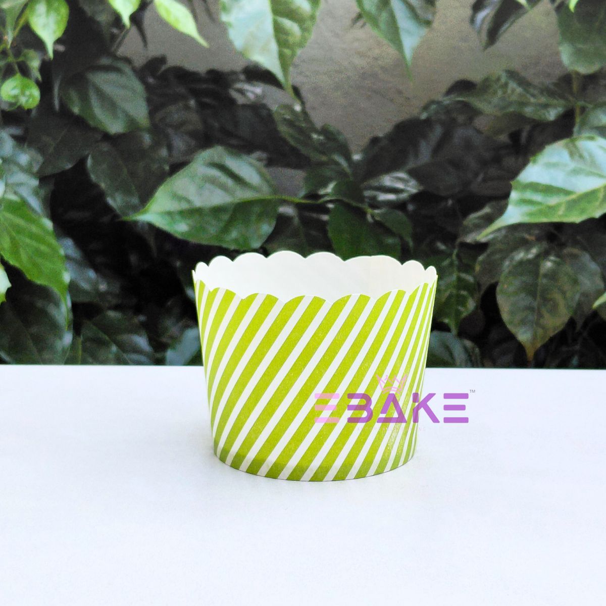 Stripes Printed Paper Muffin Cup- Set Of 50 Pieces Medium (Green)