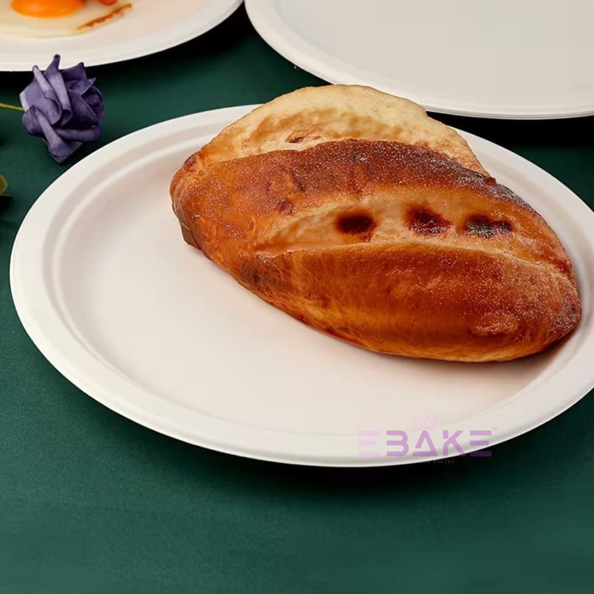 Disposable Plates 10" (Bagasse)