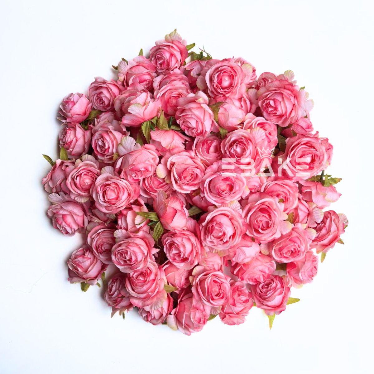 English Rose - A1786