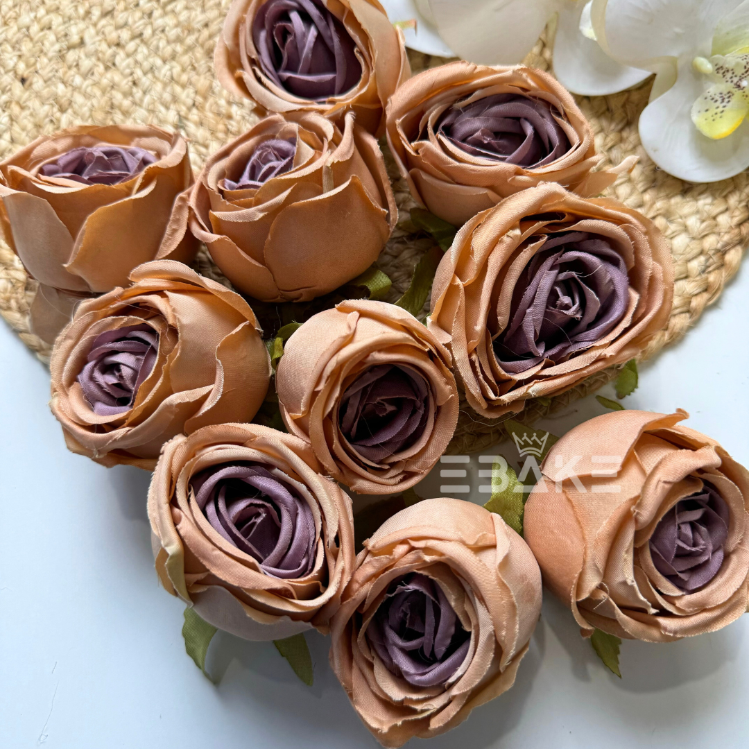 Cabbage Rose - A604 Latte
