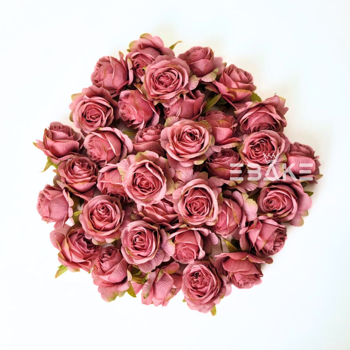 English Rose - A1789