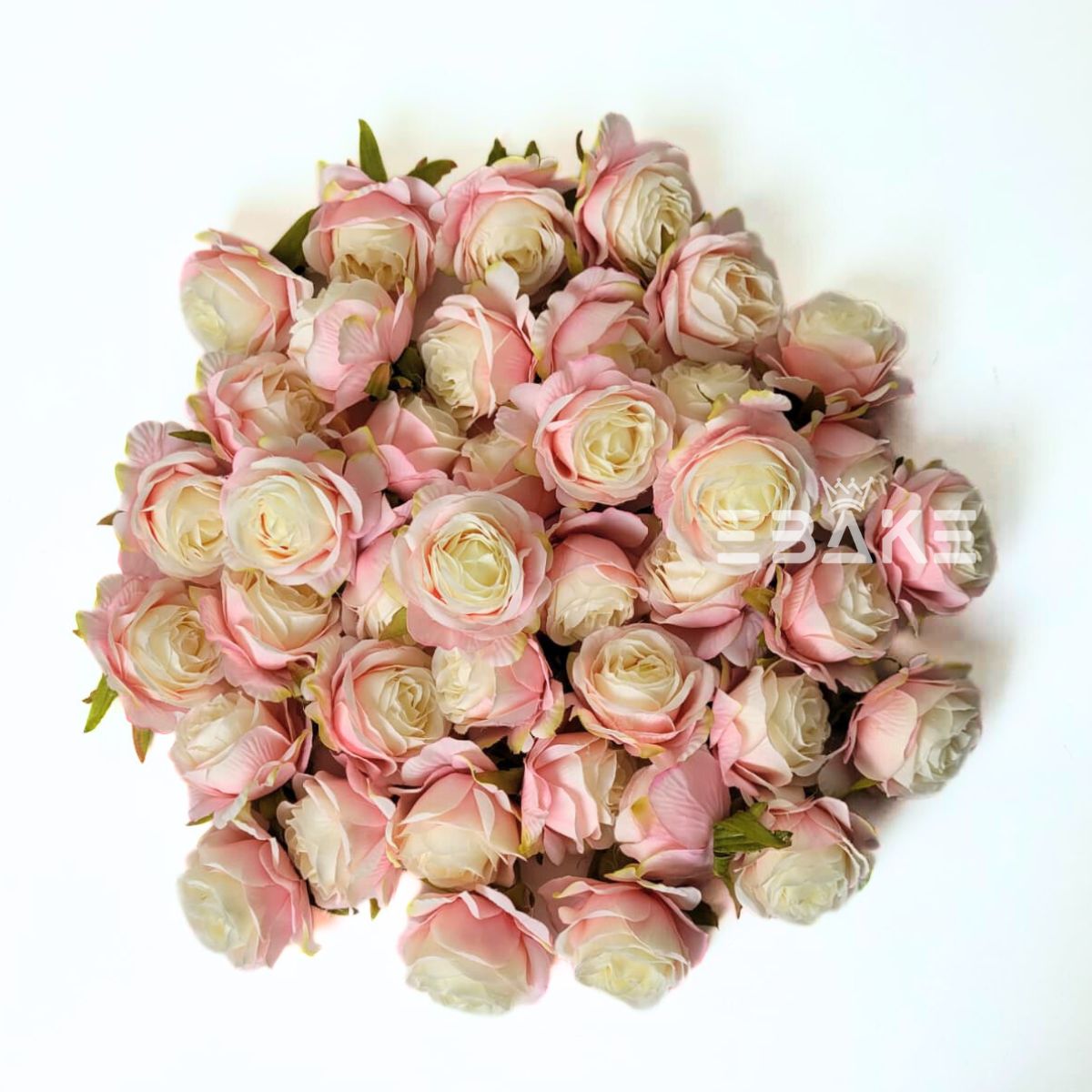 English Rose - A1788