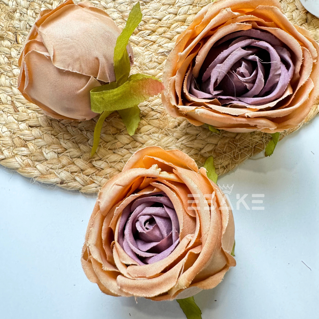 Cabbage Rose - A604 Latte
