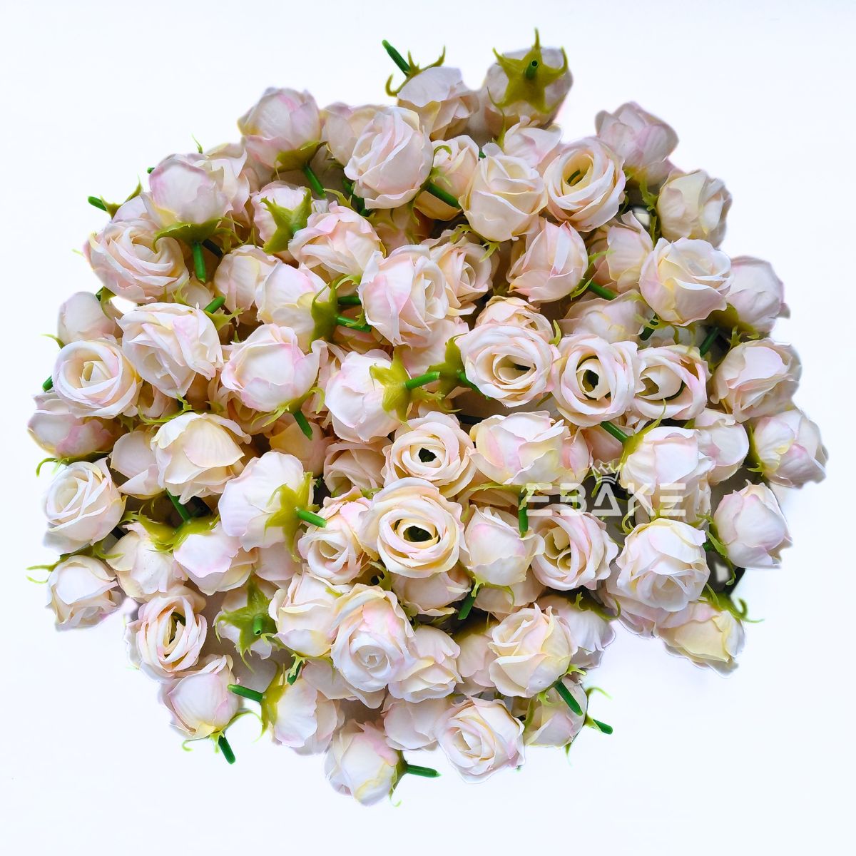 Mini Rose - A1996 Shaded Cream