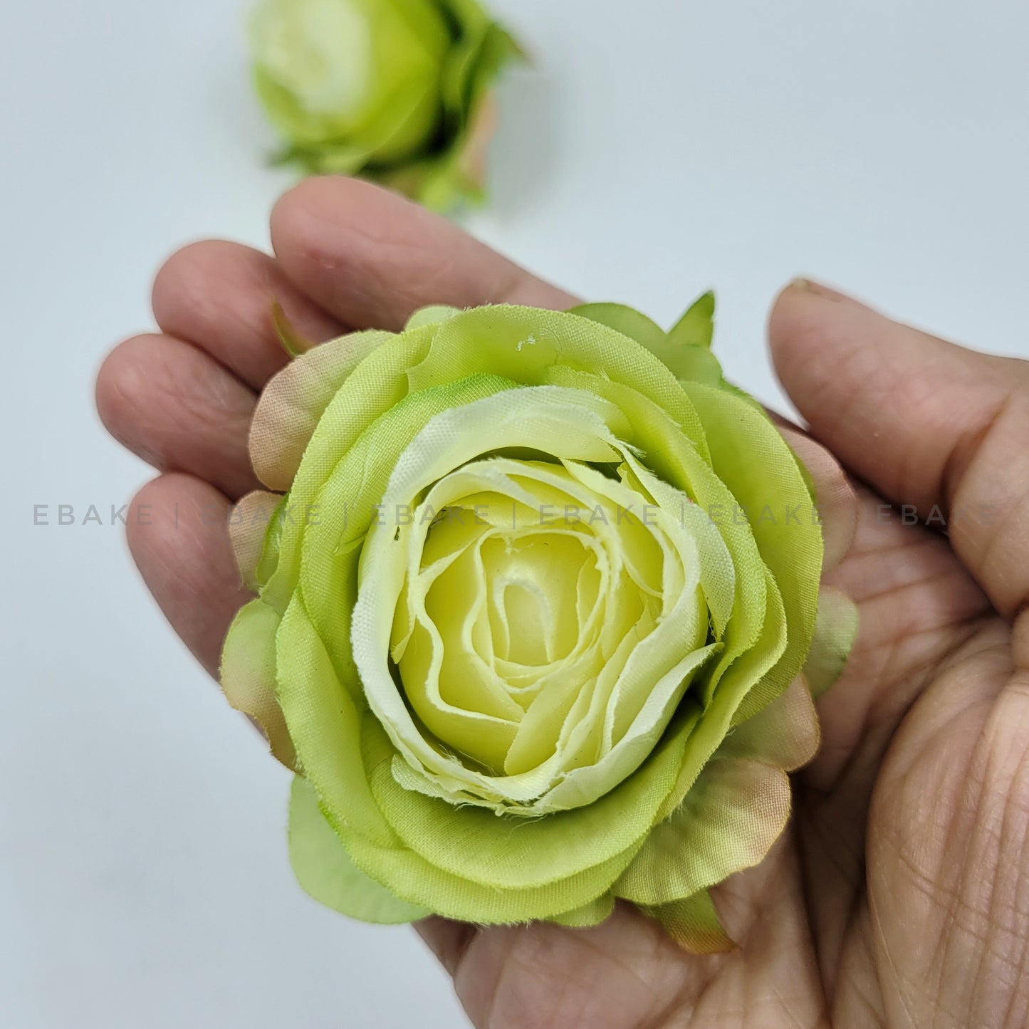 English Rose - A561 Green