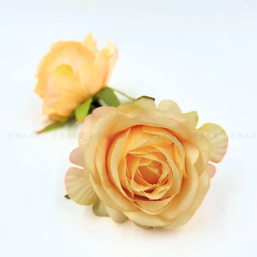 English Rose - A560 Yellow