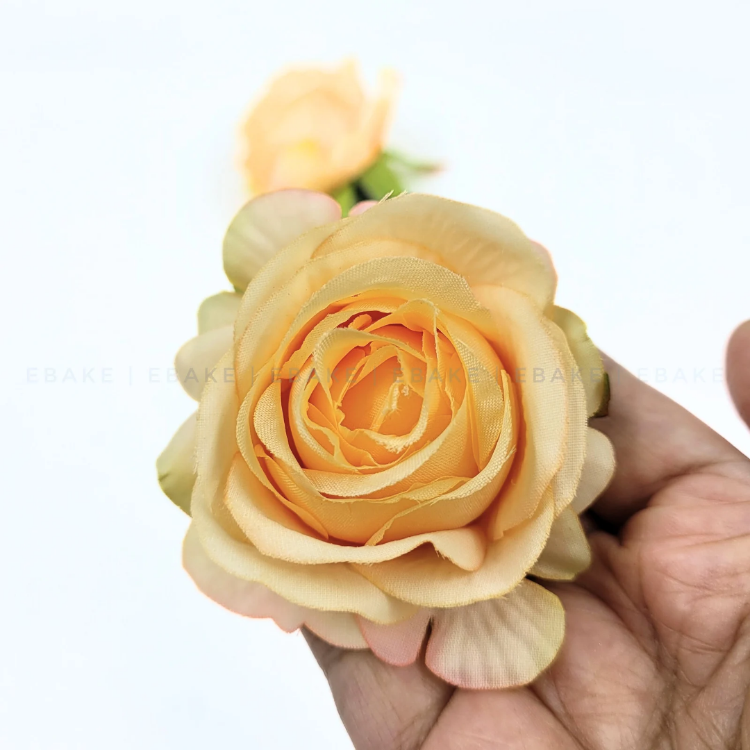 English Rose - A560 Yellow