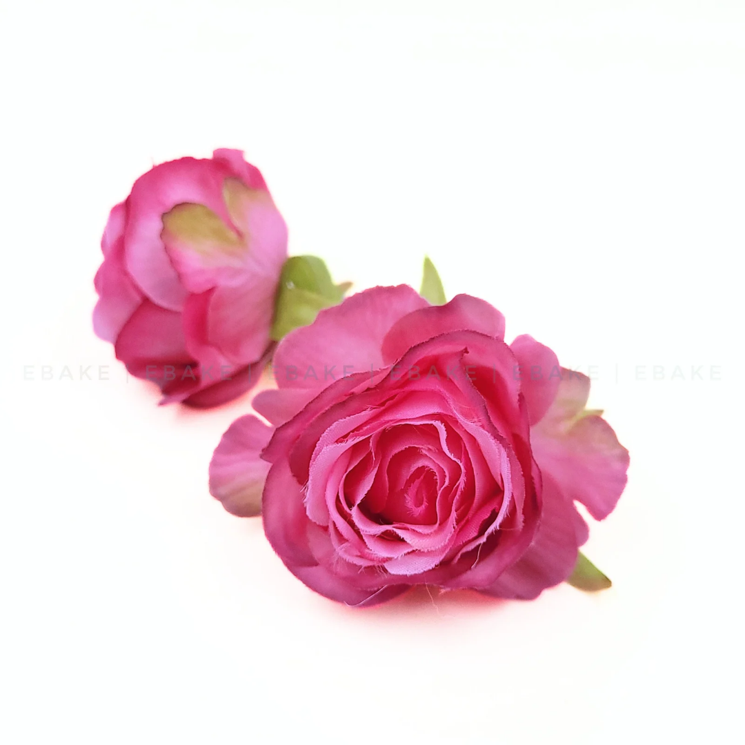English Rose - A559 Pink