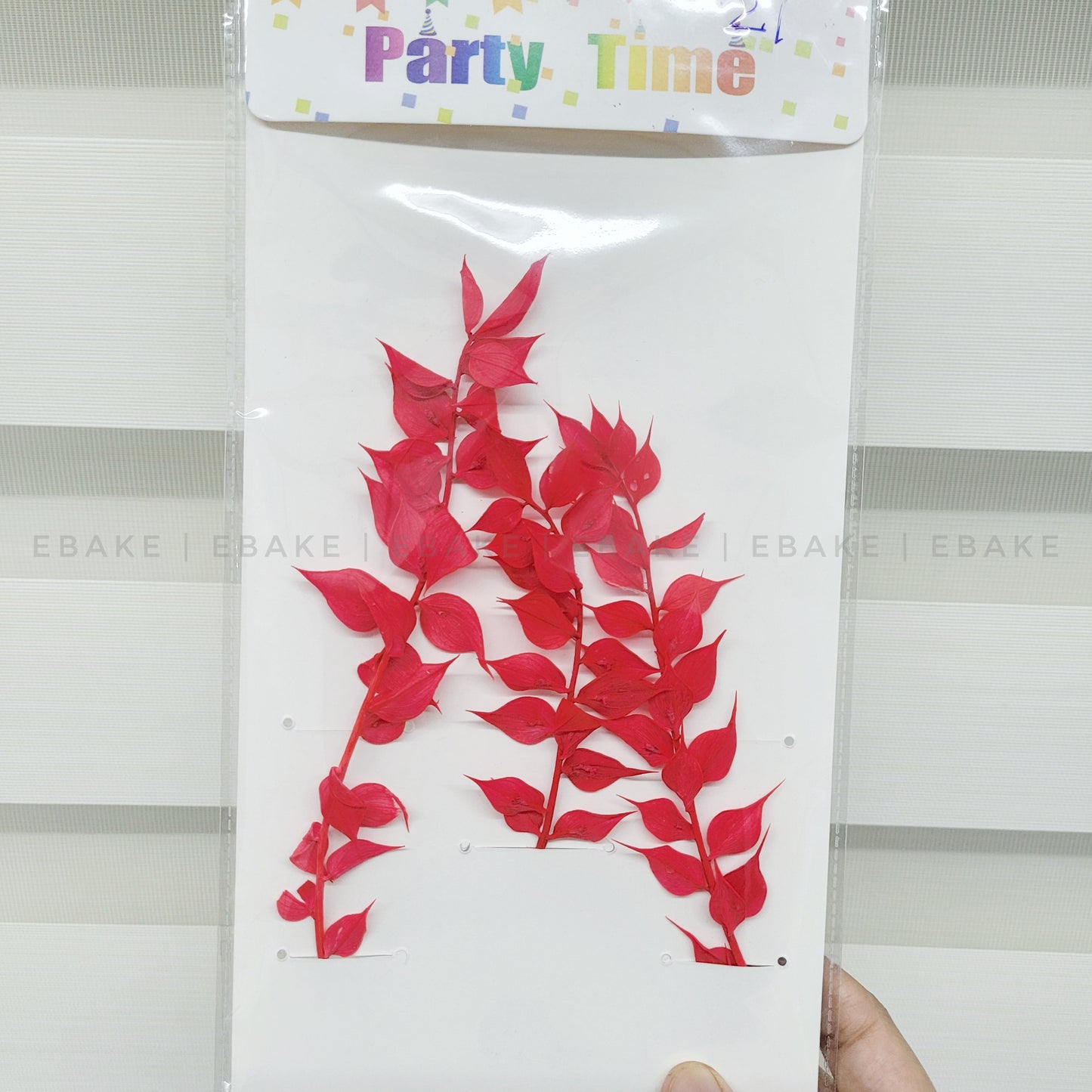 Dried Italian Ruscus Leaves - Bright Pink (3 Pcs)