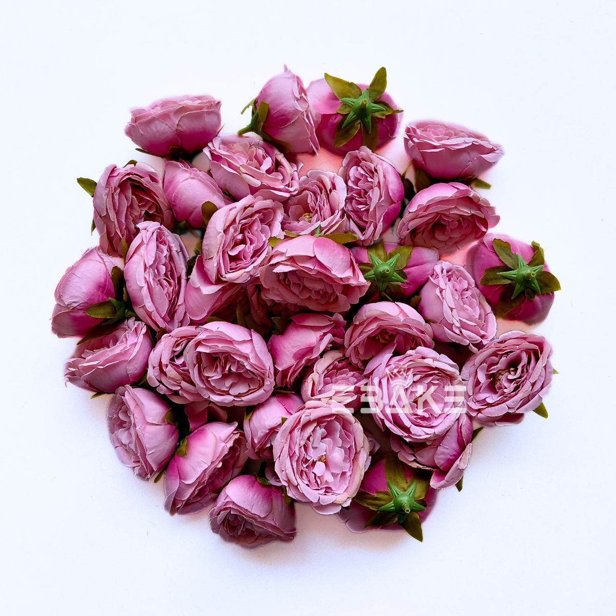 Medium Peony - A1976