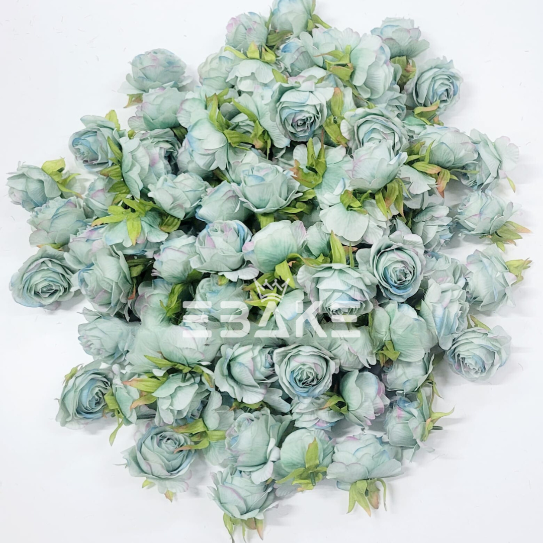 English Rose - A564 Ocean