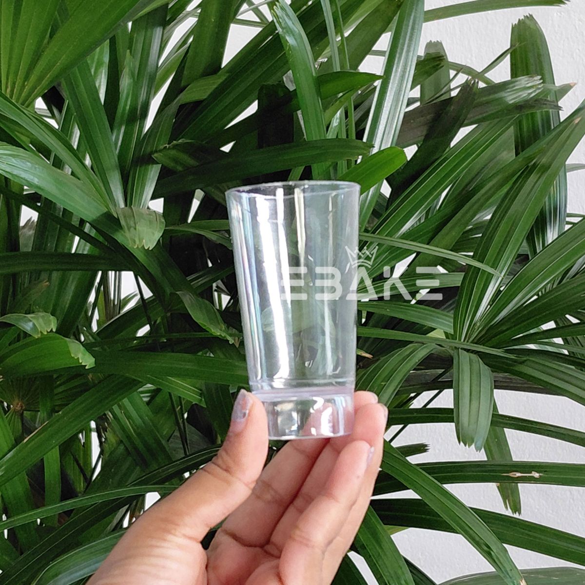 Acrylic Dessert Cups / Mousse Cups / Shot Glass (Set of 5)
