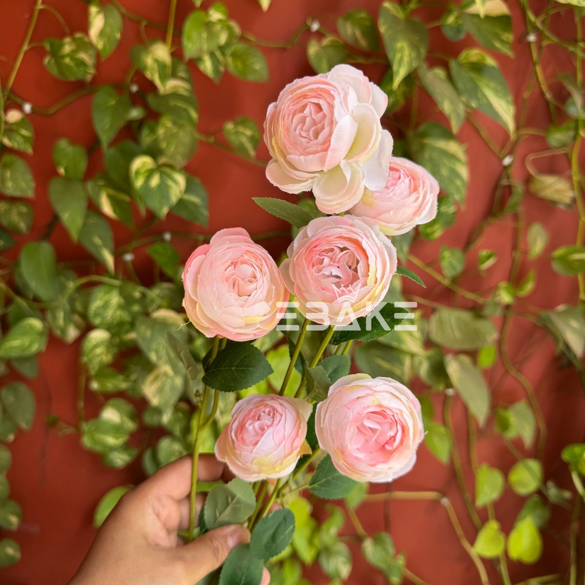 A1620 Premium Peony Bunch (Blush Pink)