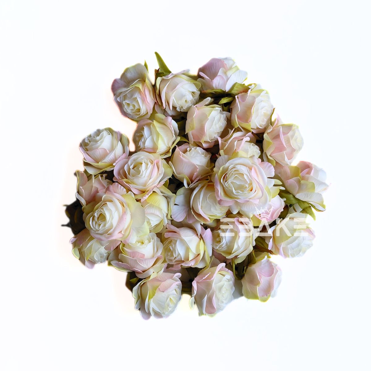 English Rose - A1886