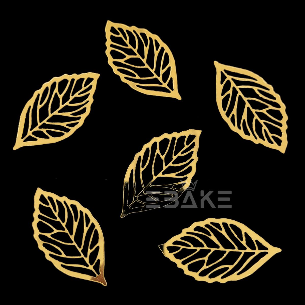 Acrylic Leaves Set (6 Pieces)