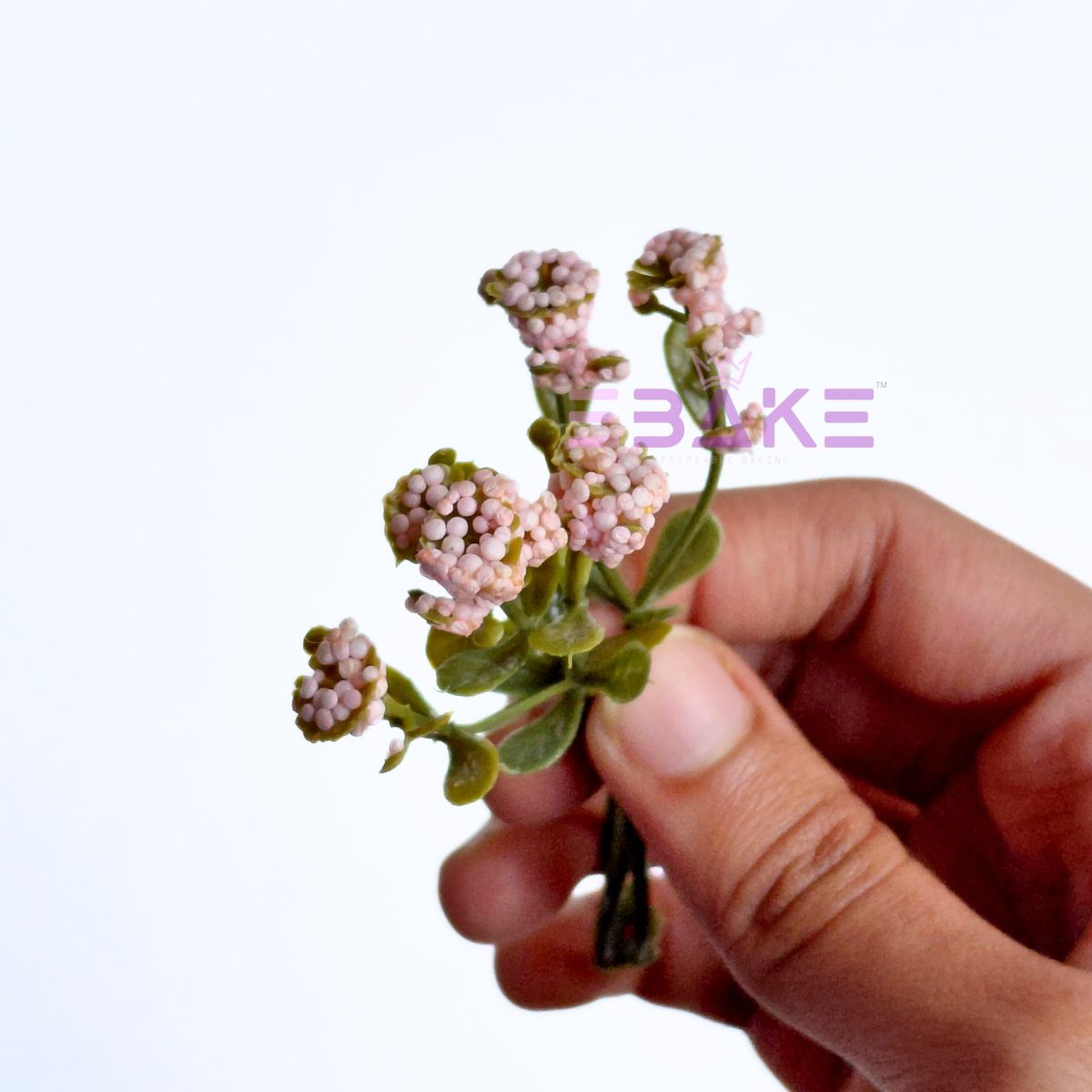 Assorted Fillers Set