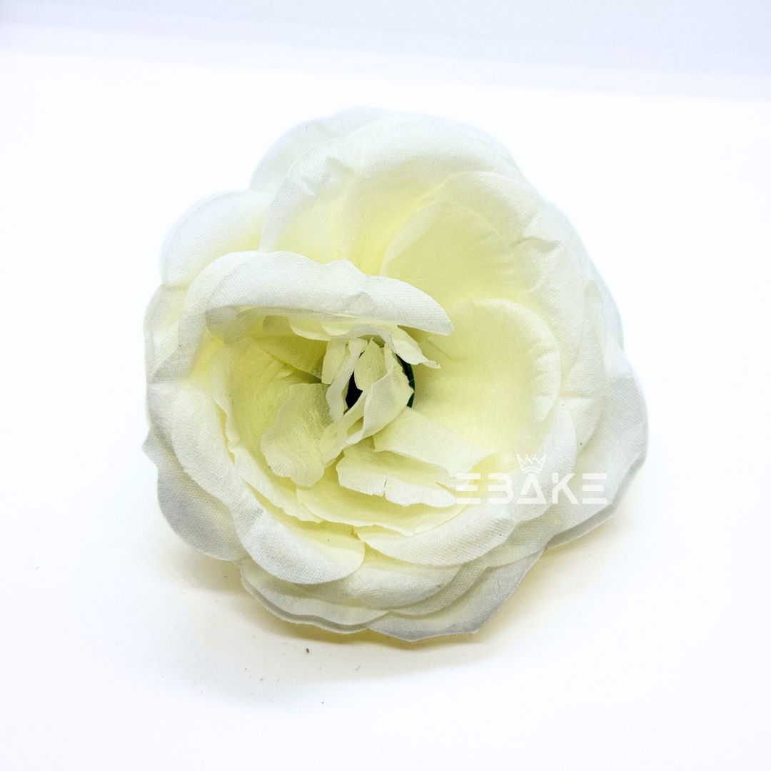 Large Peony - A1747