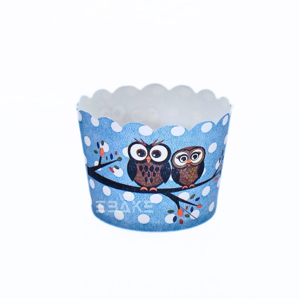Owl Printed Paper Muffin Cup - Set Of 50 Pieces