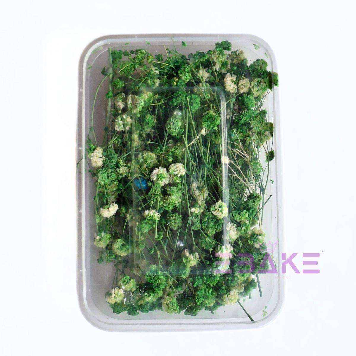 Dried Flower Assortment Box