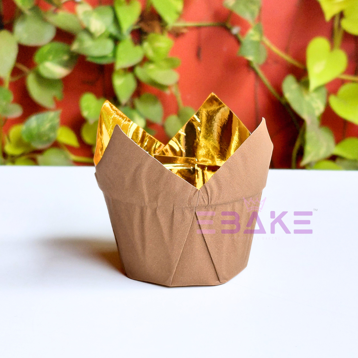 Brown Tulip Cupcake Liner Paper Baking Cups (Set of 50)