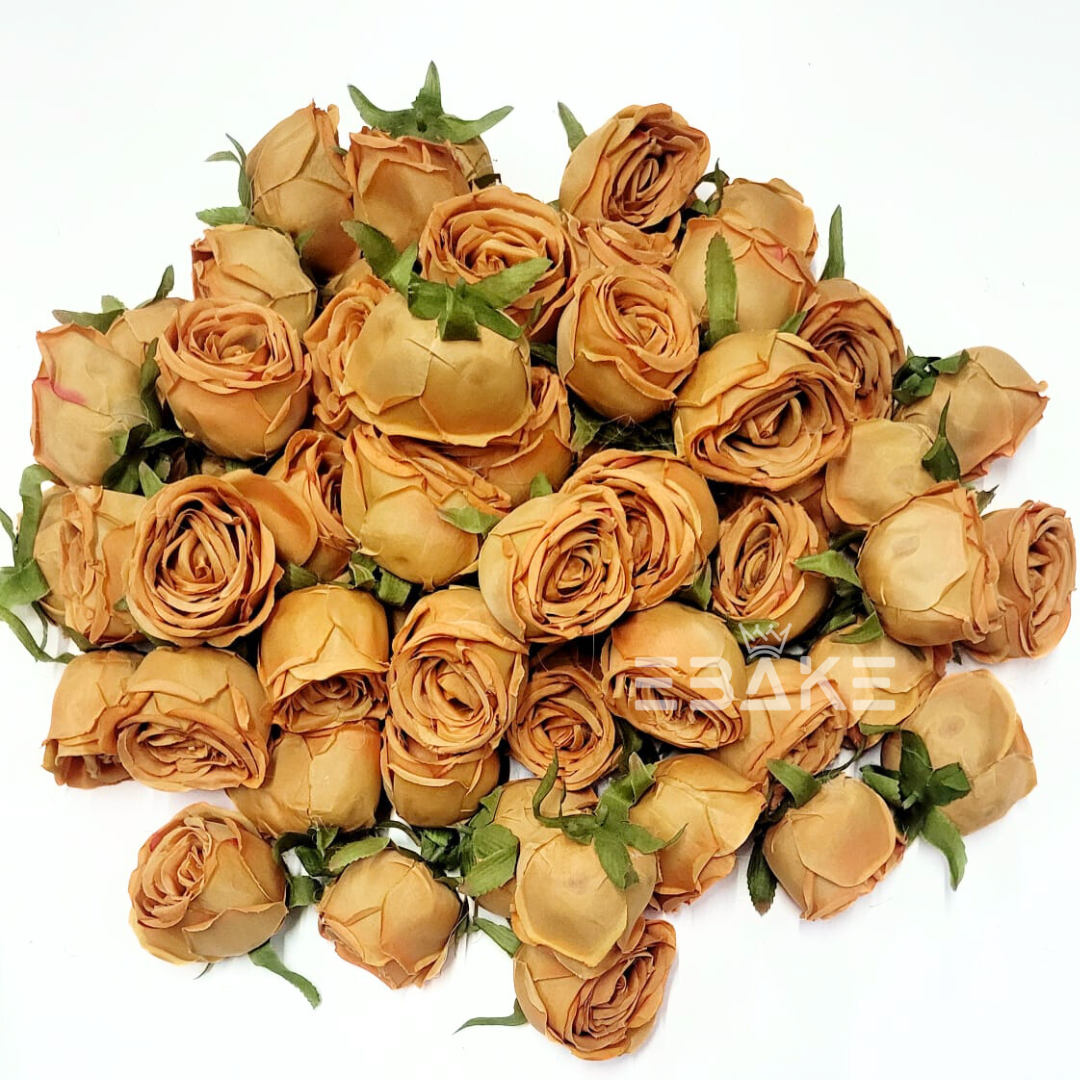 Cabbage Rose - A603 Honey