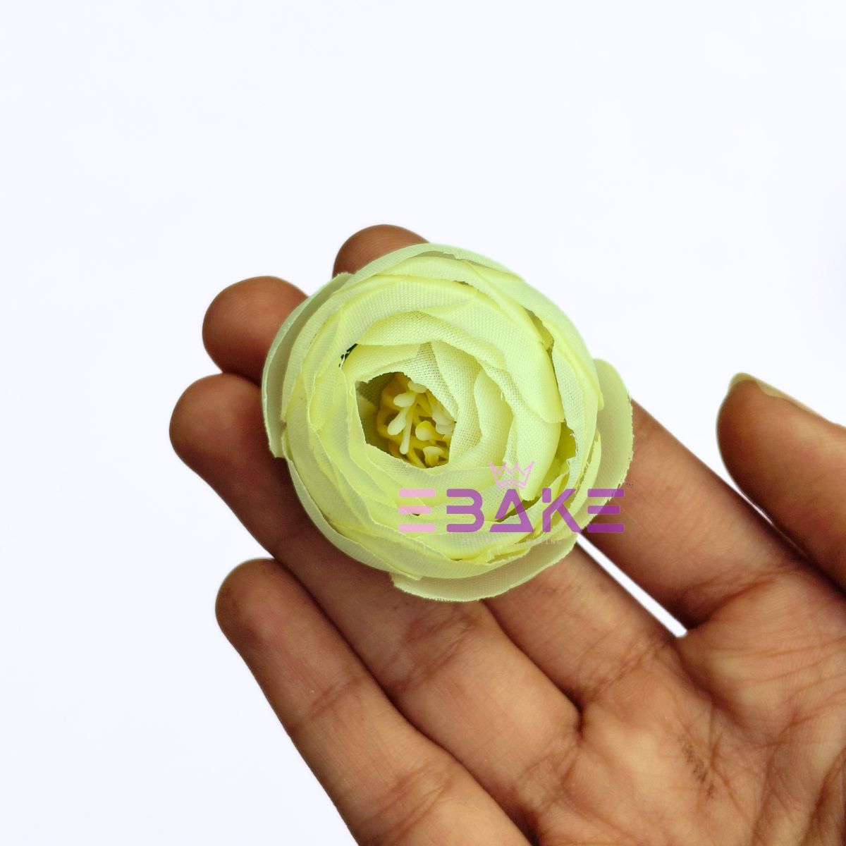 Small Peony - A1932 Greenish White