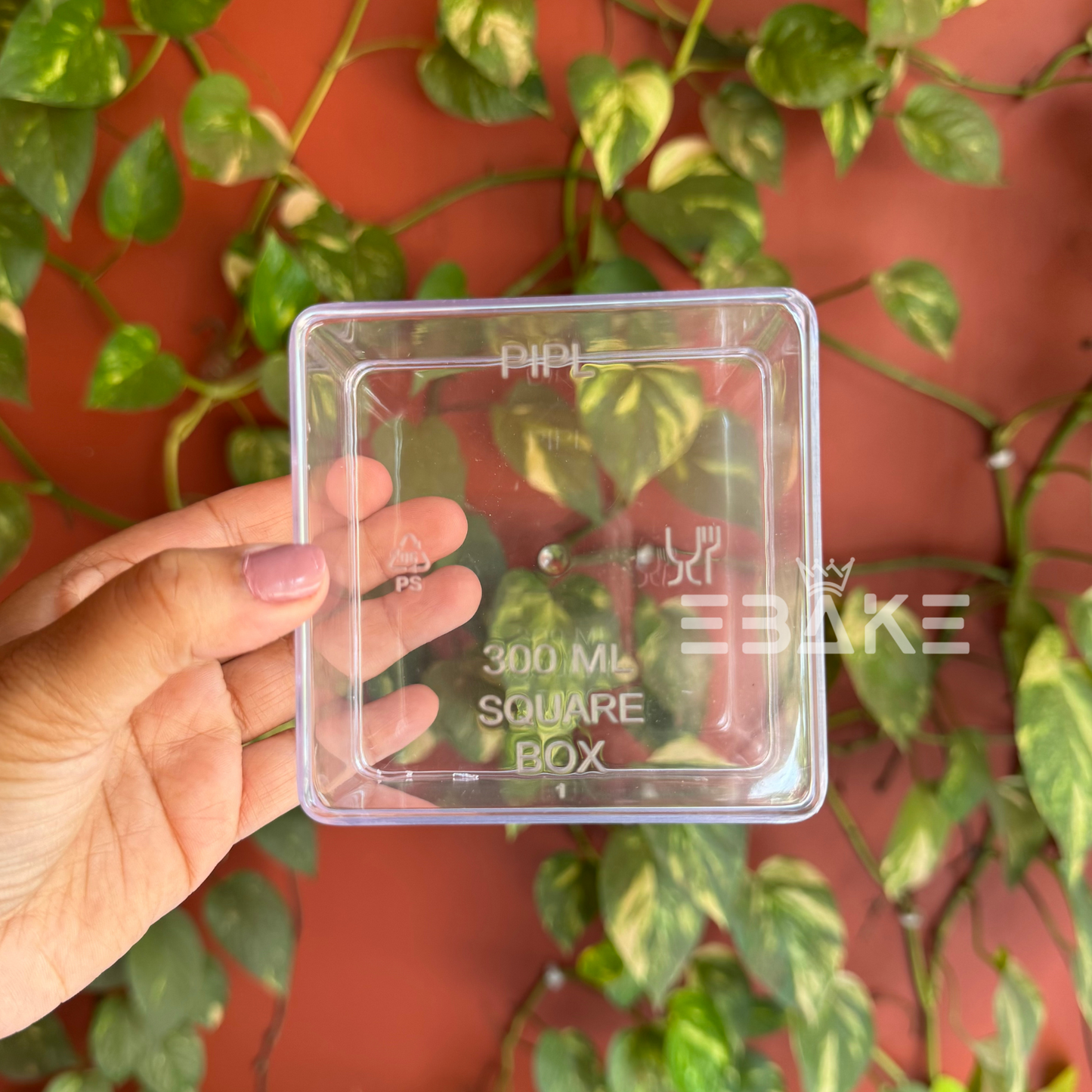300ml Square Acrylic Dessert Box / Cake Tub (With Lid) Medium 9x9x5.8cm
