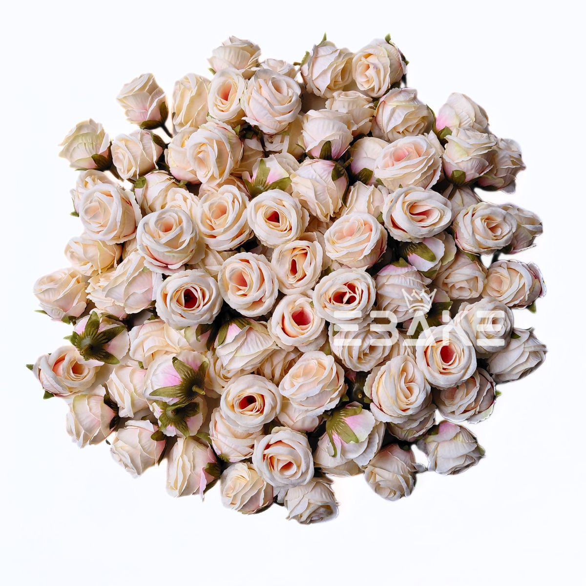 Medium Bud Rose - A1029 Off-White