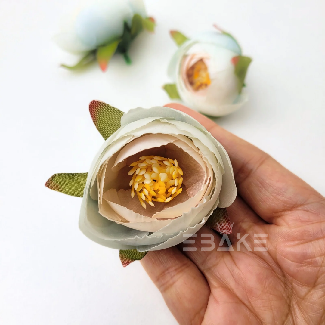 Medium Peony - A1080