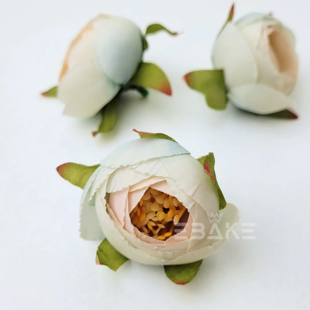 Medium Peony - A1080