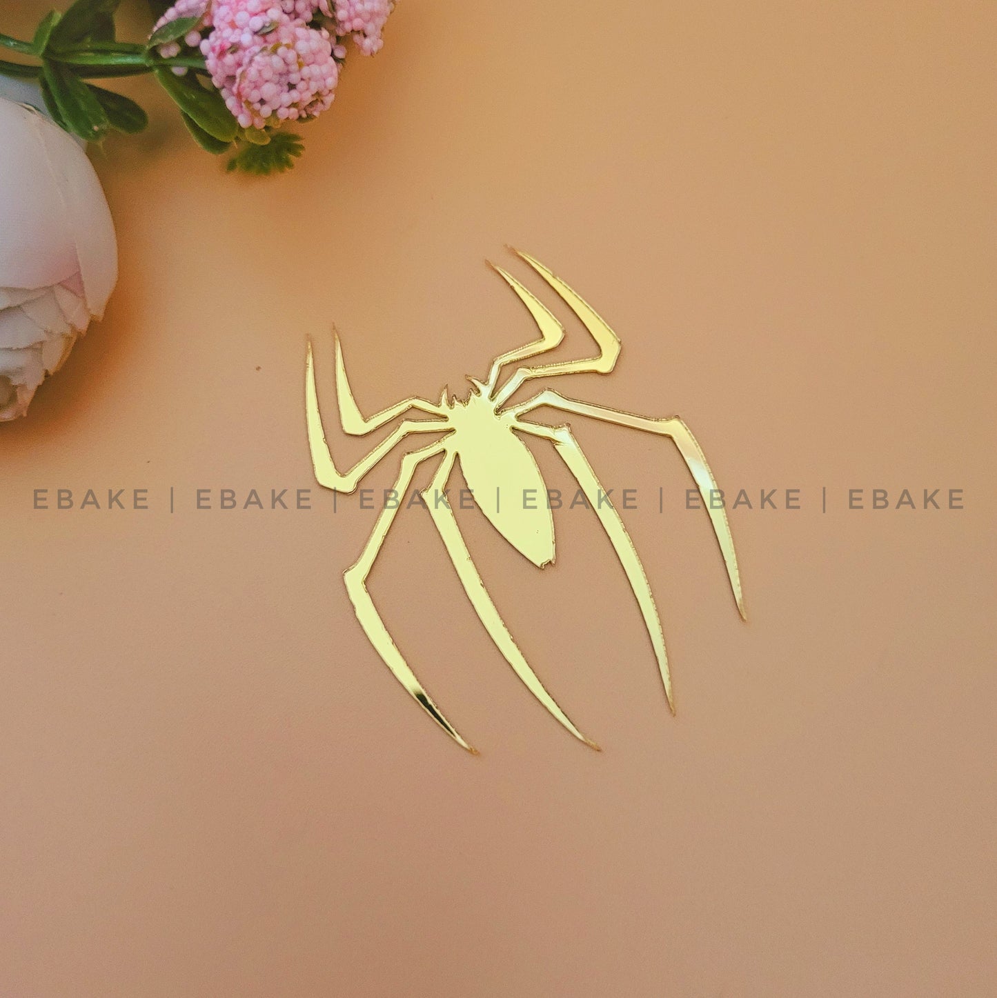 Spider Charms Acrylic Set (6 Pieces)