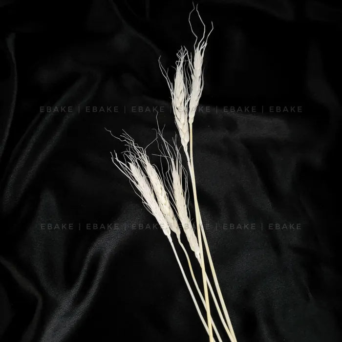 Wheat Blooms - Bleached White