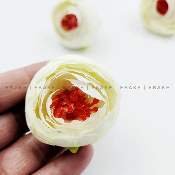 Small Peony - A160 Off White