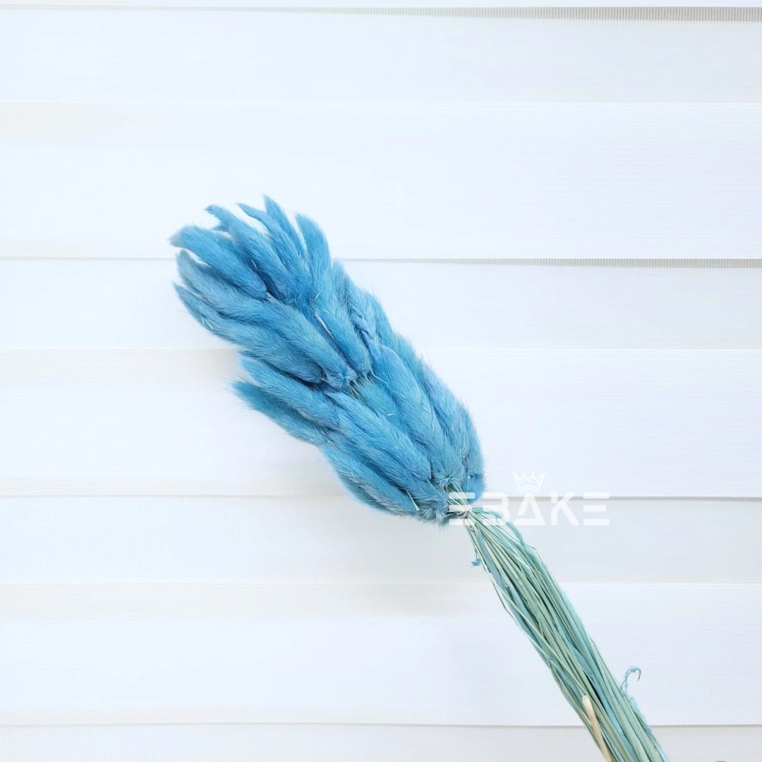 Bunny Tails Bunch Blue (Rabbit Tails/Lagurus)