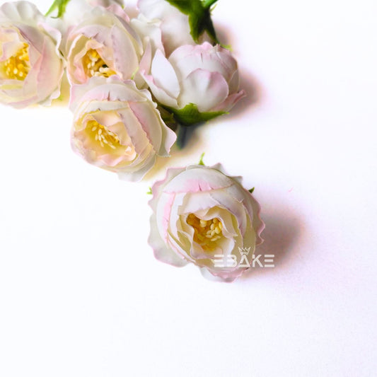Small Peony - A2001