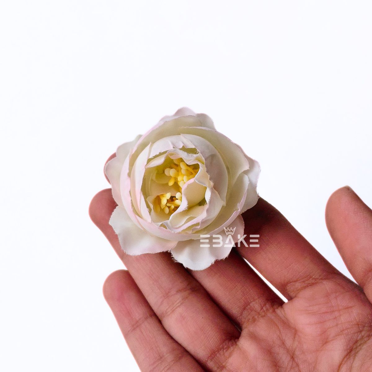 Small Peony - A2001