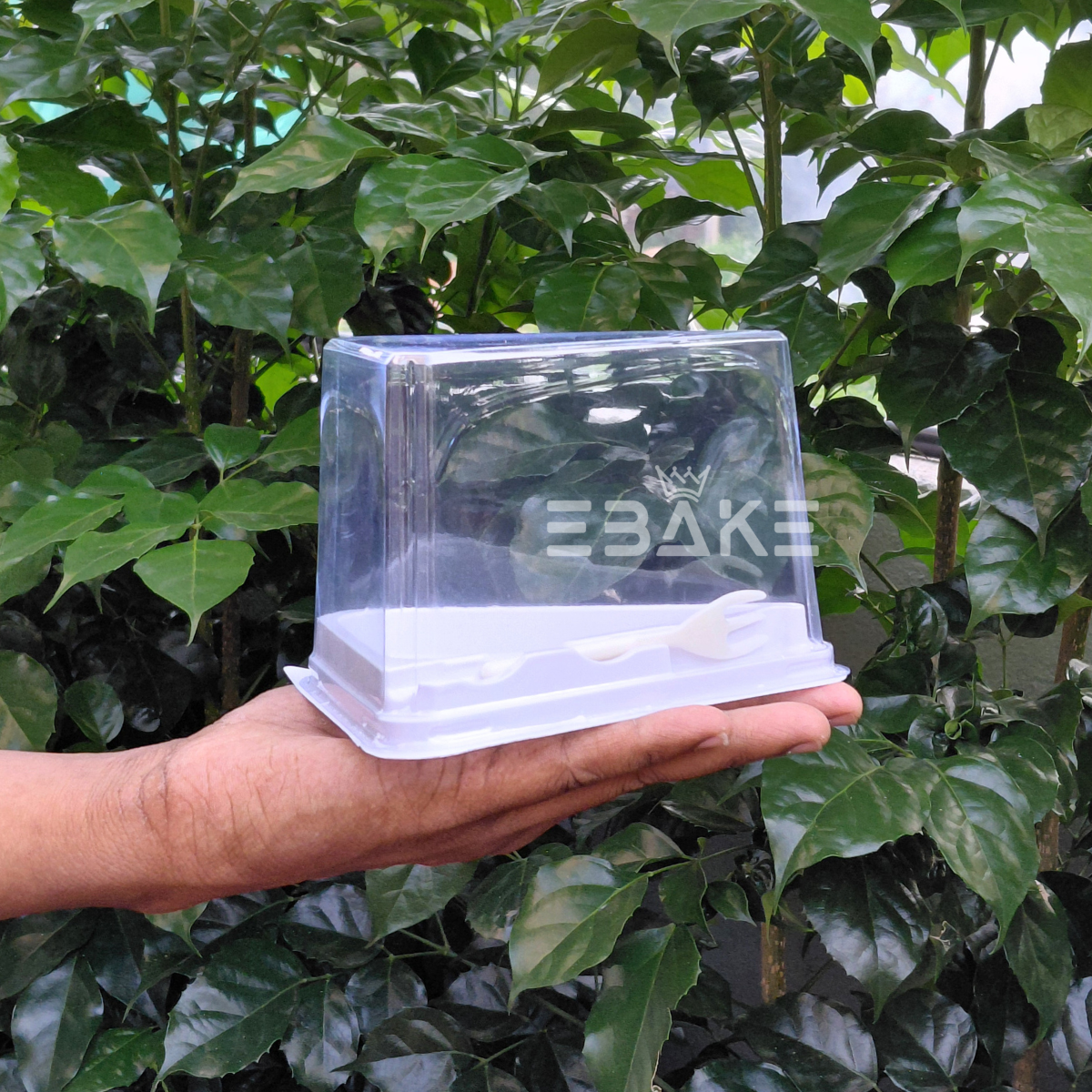 Triangle Cake Box/Pastry Box With Transparent Lid & Fork (Set of 5) White