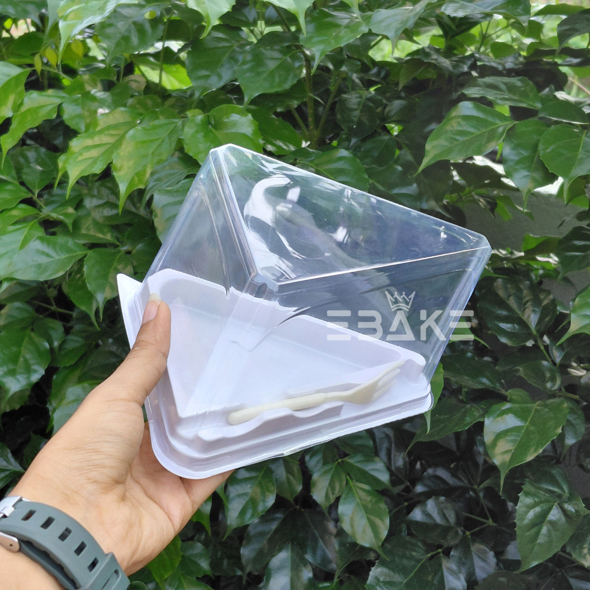 Triangle Cake Box/Pastry Box With Transparent Lid & Fork (Set of 5) White