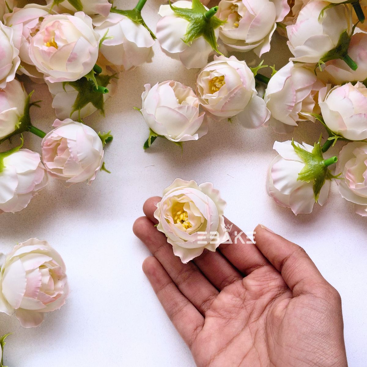 Small Peony - A2001