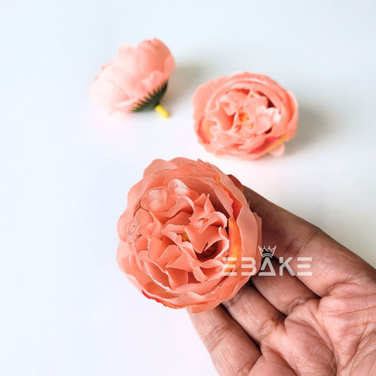 Medium Peony - A1292