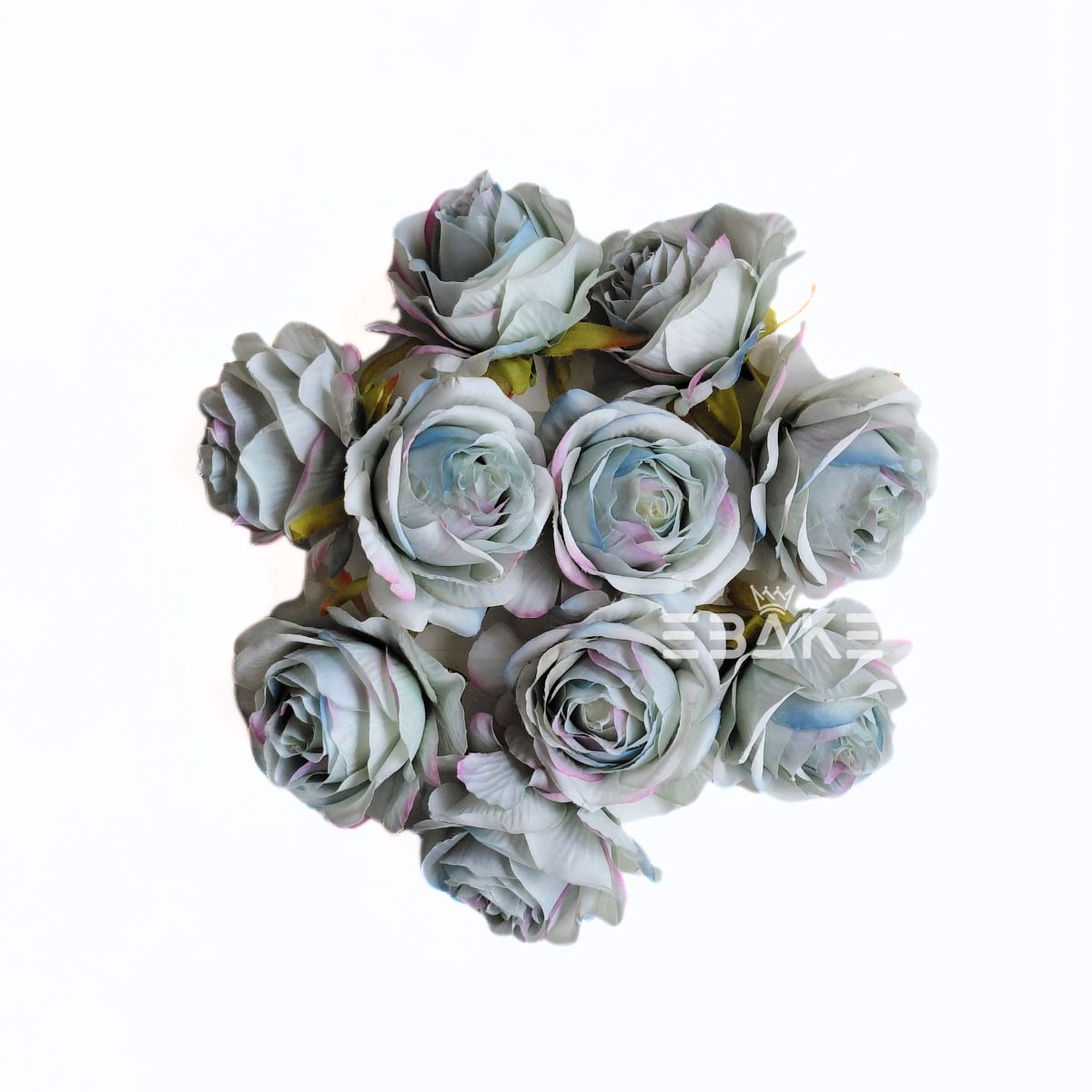 English Rose - A564 Ocean