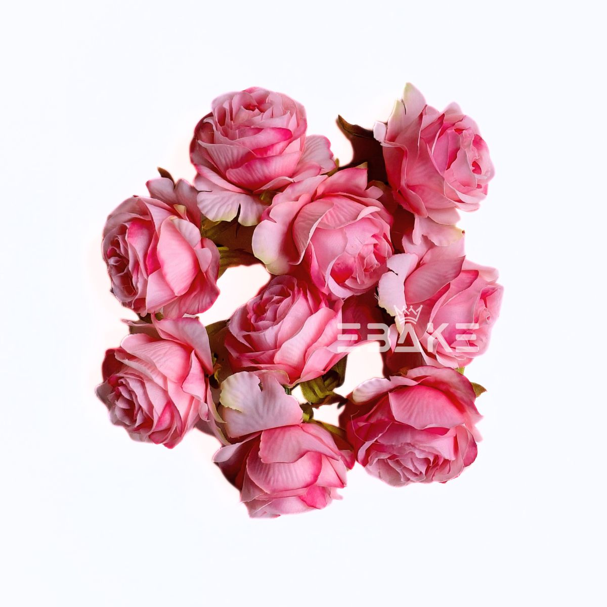 English Rose - A1786