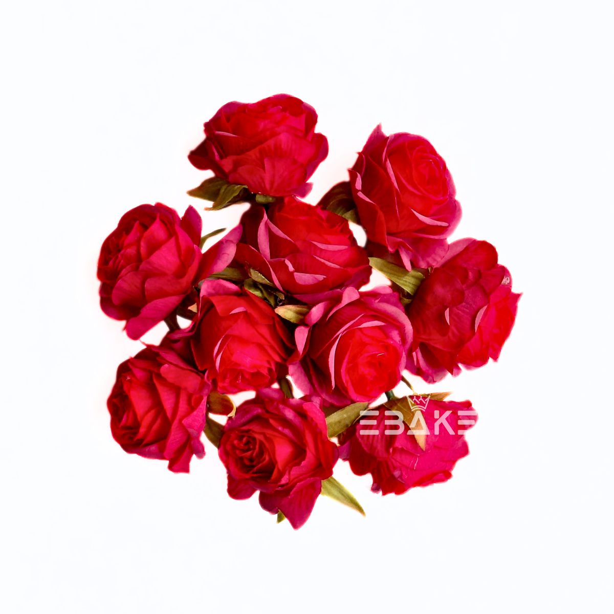 English Rose - A557 Red