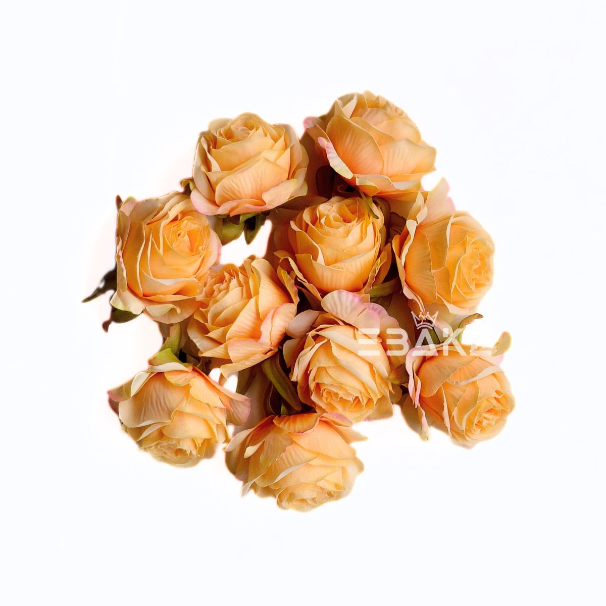 English Rose - A560 Yellow