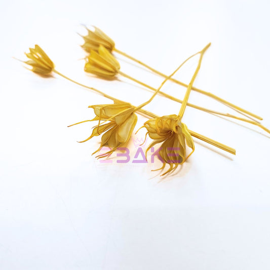 Dried Nigella Stems (Set of 5)