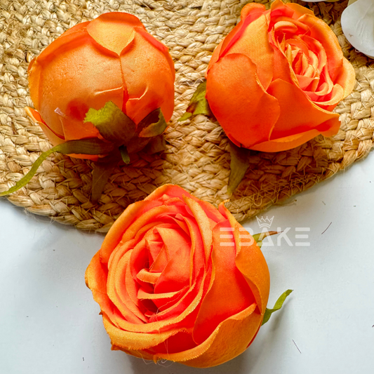 Cabbage Rose - A1134 Orange