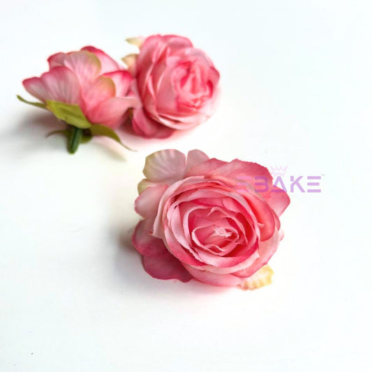 English Rose - A1786