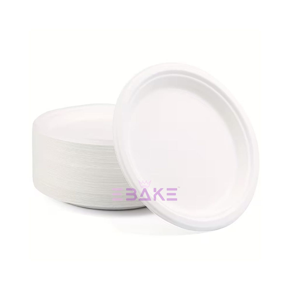 Disposable Plates 11"