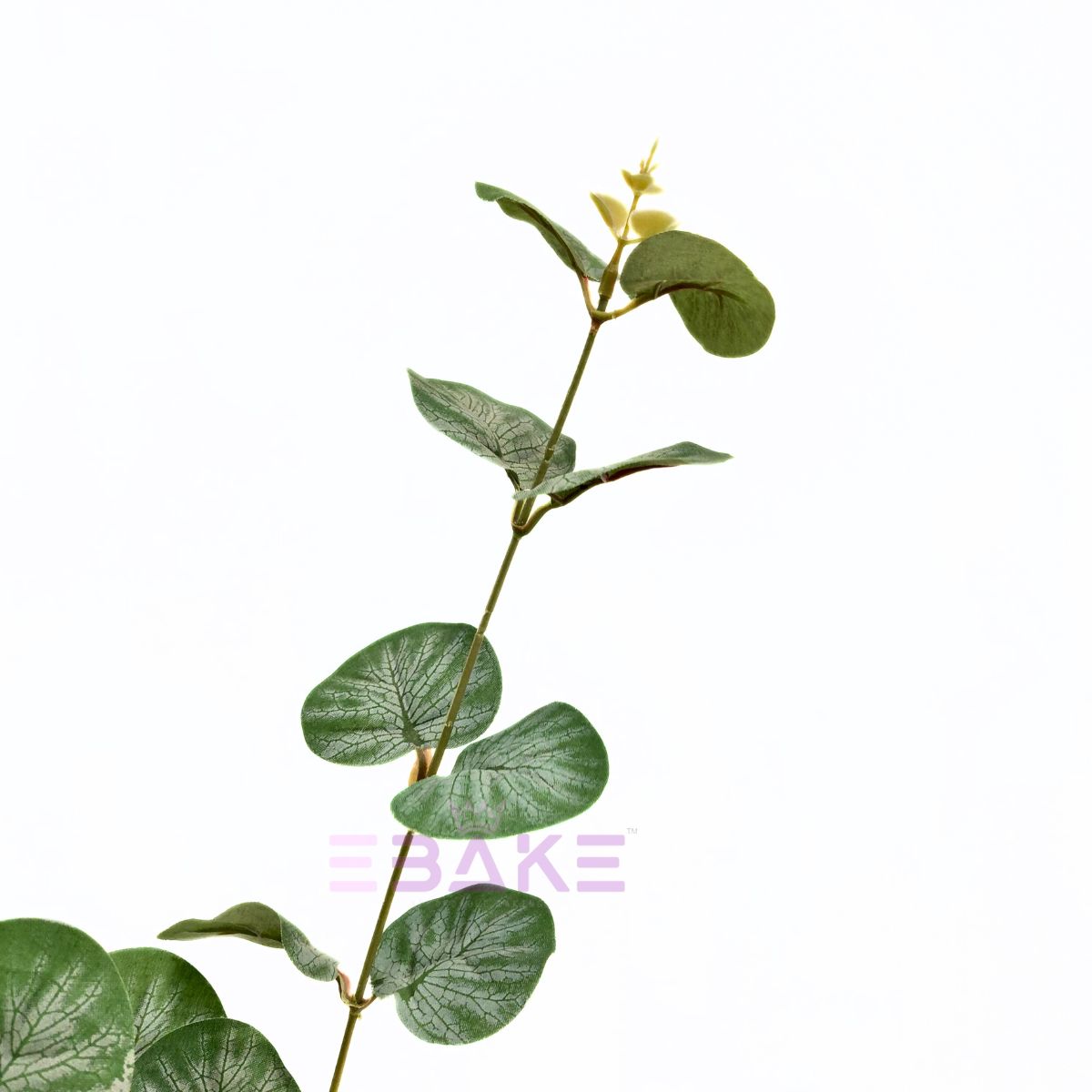 Imported Eucalyptus Filler Bunch (Single Piece)