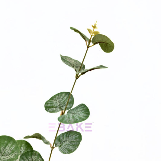 Imported Eucalyptus Filler Bunch (Single Piece)